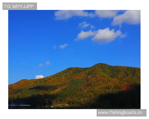 艾弗森回忆童年穿着风格独特自学成才的成长经历分享