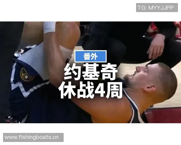 约基奇大哥因湖掘大战后事件承认指控获缓刑一年引发拳击球迷热议